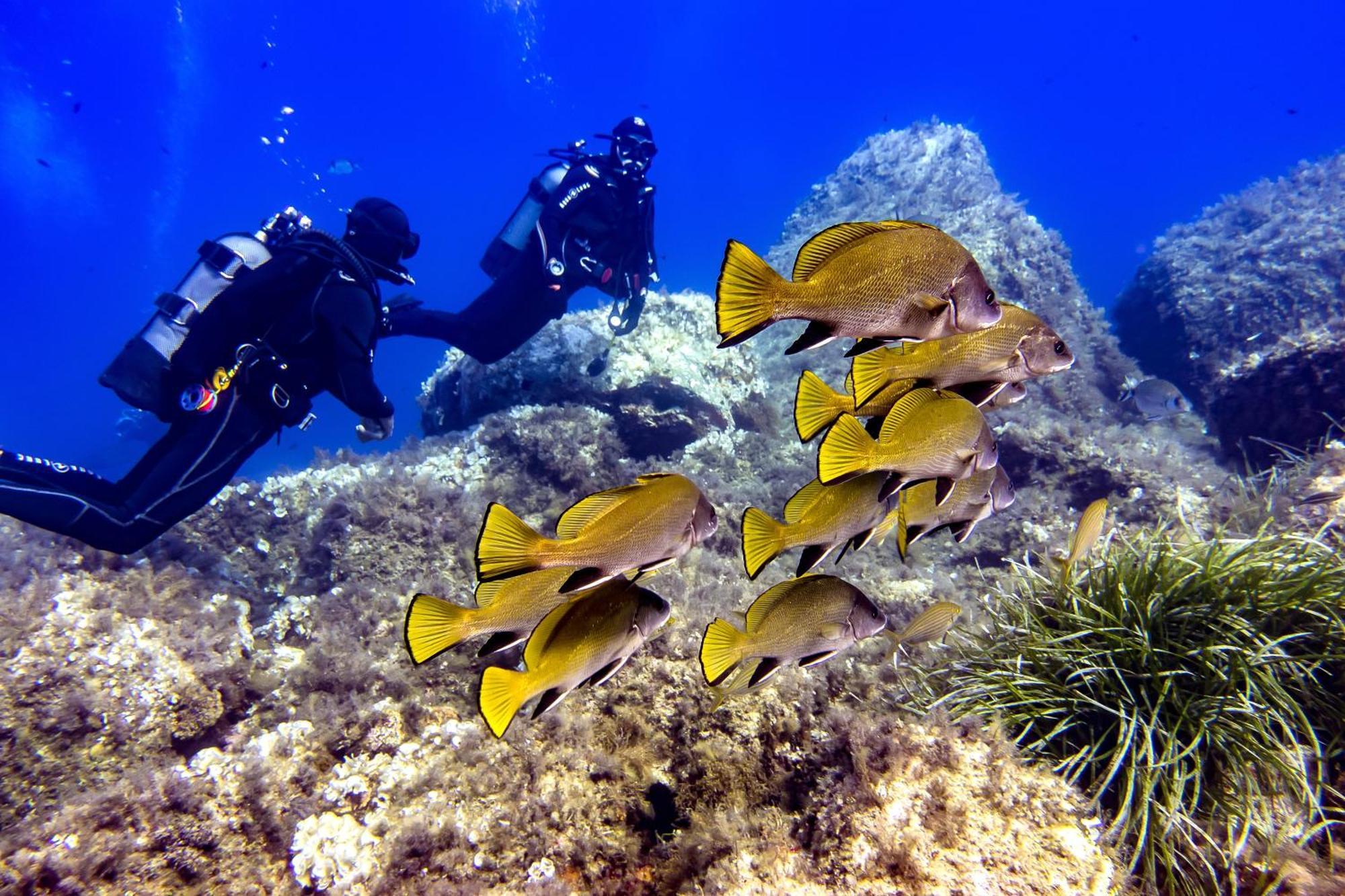 Village Vacances De Ramatuelle - Le Sentier Des Pins Ngoại thất bức ảnh