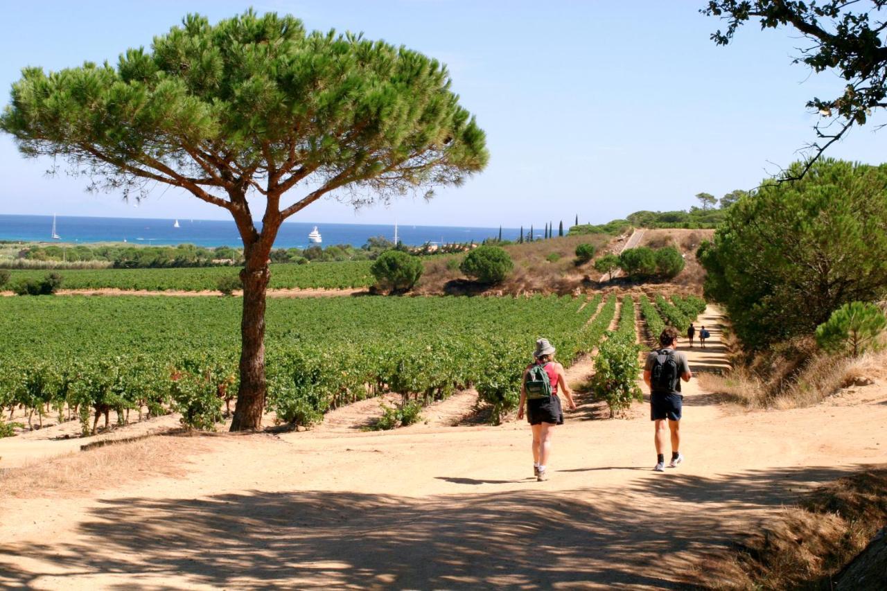Village Vacances De Ramatuelle - Le Sentier Des Pins Ngoại thất bức ảnh